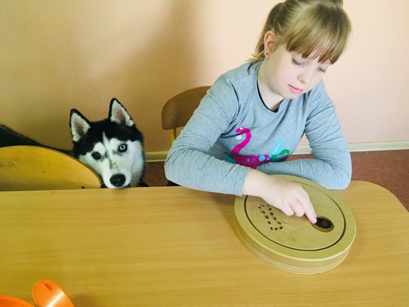 Dziewczynka wkłada karmę do otworu w drewnianej zabawce. Pies siedzi obok jej ławki w klasie.