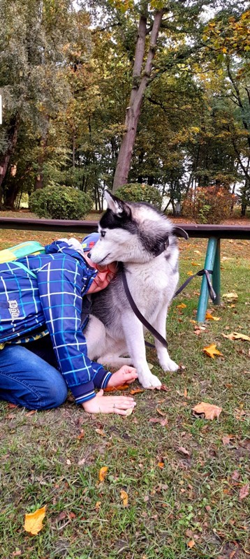 Chłopiec siedzi na trawie i przytula się do psa husky.