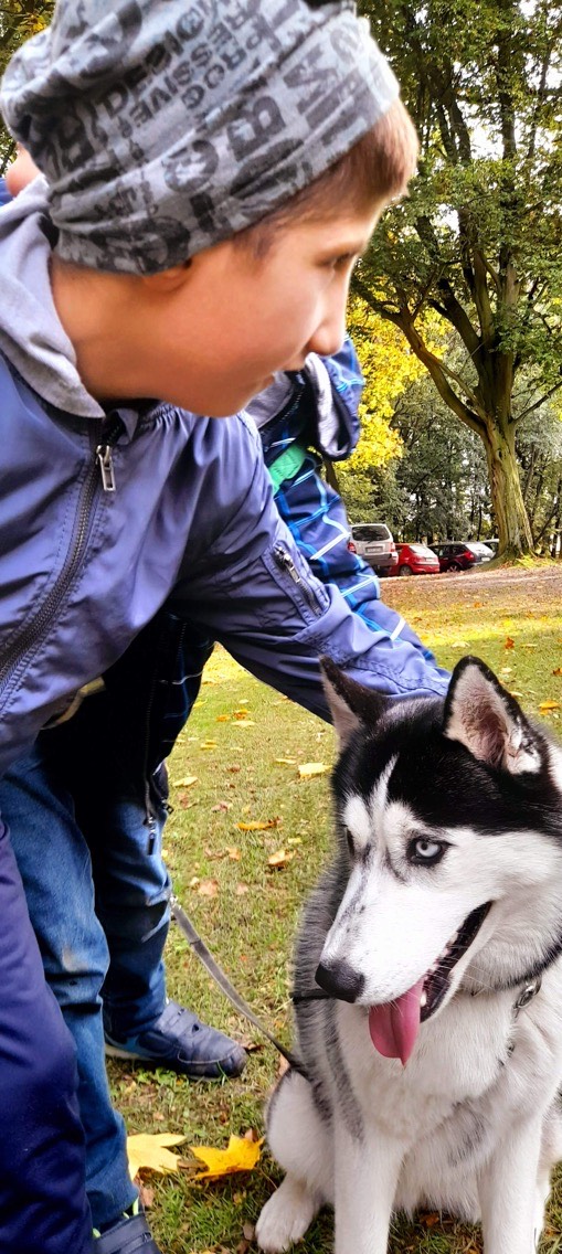 Chłopiec głaszcze psa husky.