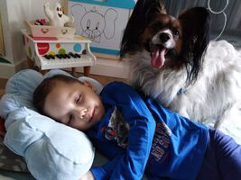 Pies siedzi obok leżącego chłopca. 