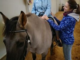 Amelka zmniejsza nadwrażliwość dotykową poprzez głaskanie końskiej sierści, dziewczynka siedzi na koniu, obok asekuruje hipoterapeutka