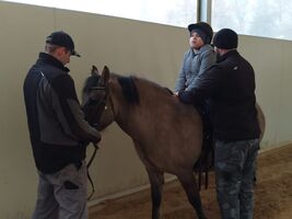 chłopiec siedzi na koniu, obok hipoterapeuta asekuruje, z przodu konia mężczyzna trzyma konia za wodze