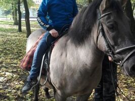 chłopiec siedzi na grzbiecie konia o imieniu Hejnał