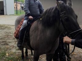 chłopiec siedzi na grzbiecie konia o imieniu Hejnał