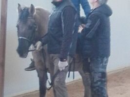 chłopiec siedzi na grzbiecie konia o imieniu Hejnał, obok asekuruje hipoterapeuta, z przodu mężczyzna trzyma konia za wodze
